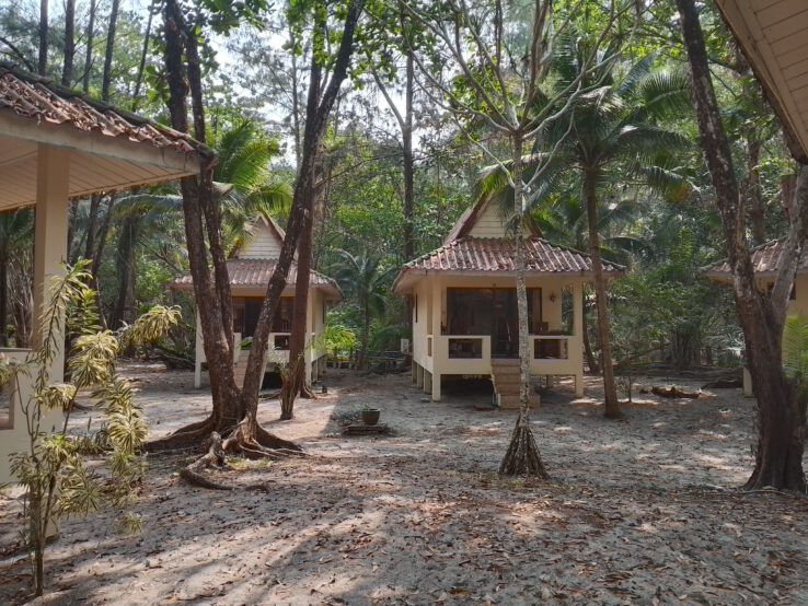 Yoga Reise Thailand Insel