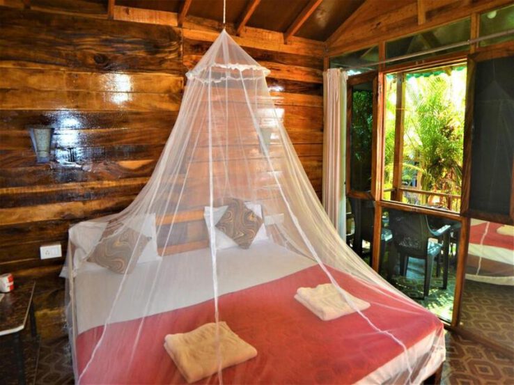 Yoga Reise Agonda Indien
