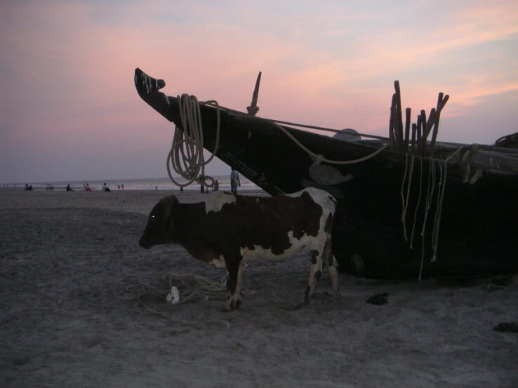 Arambol Goa Yoga Reise