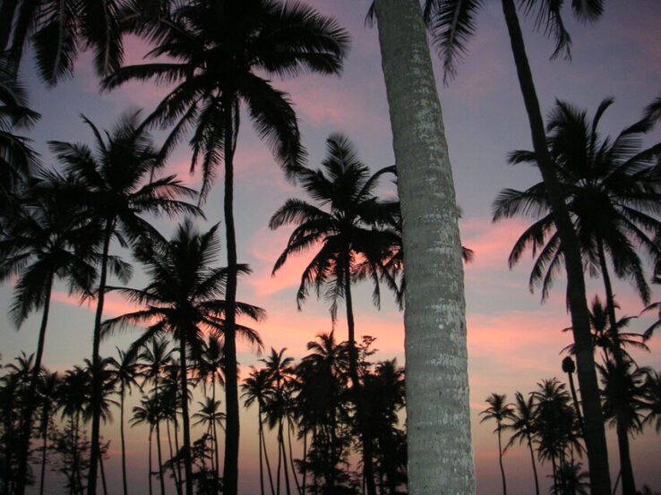 Arambol Yoga Reise Asien